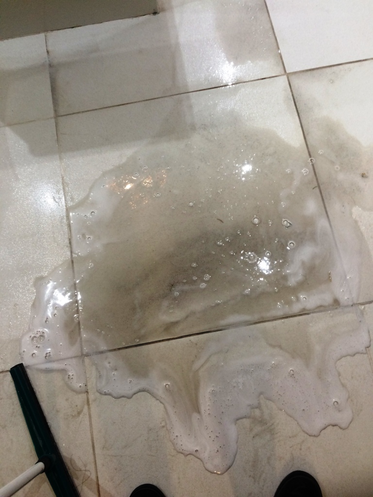 Porcelain Floor Tiles During Cleaning in Heywood